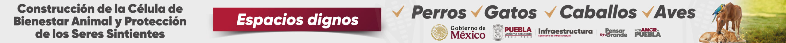 1600 X 450 Mesa De Trabajo 1