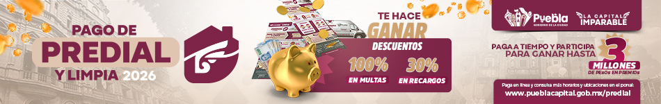 950x150 Predial Refuerzo Copia