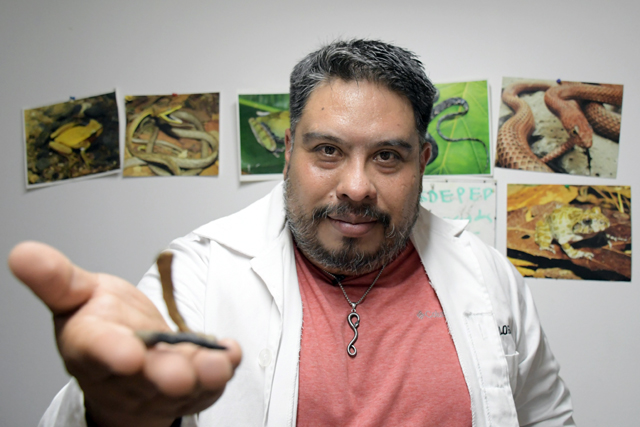 Investigador de la BUAP descubre nuevo especie de serpiente en Puebla