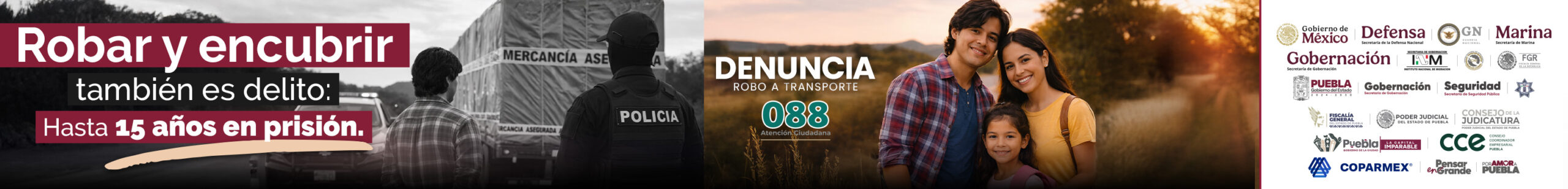 3125x376 Cgcyad1 (1)