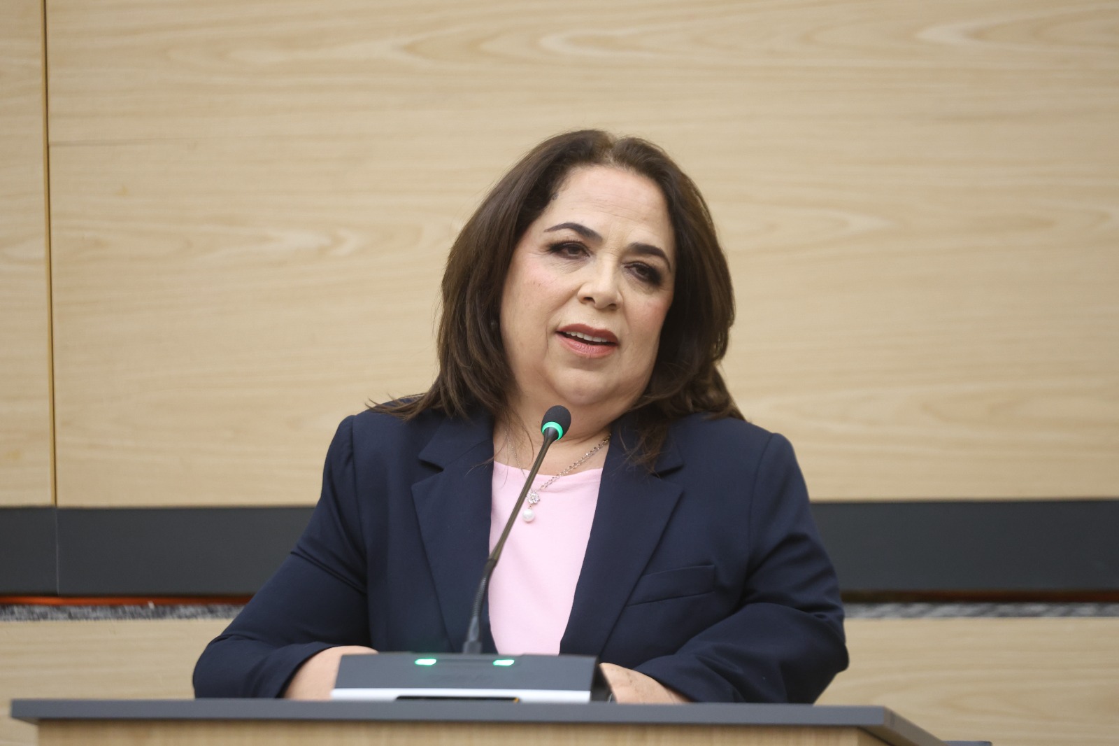 Diputada Soledad Amieva propone inclusión laboral en centros penitenciarios para reducir reincidencia