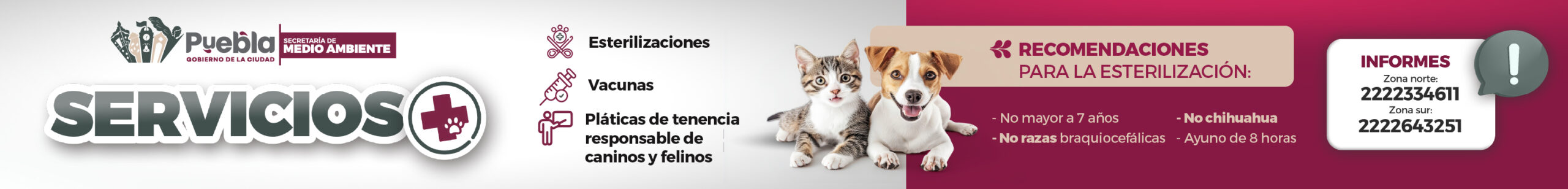 Banners Animales 3125x376 .jpg