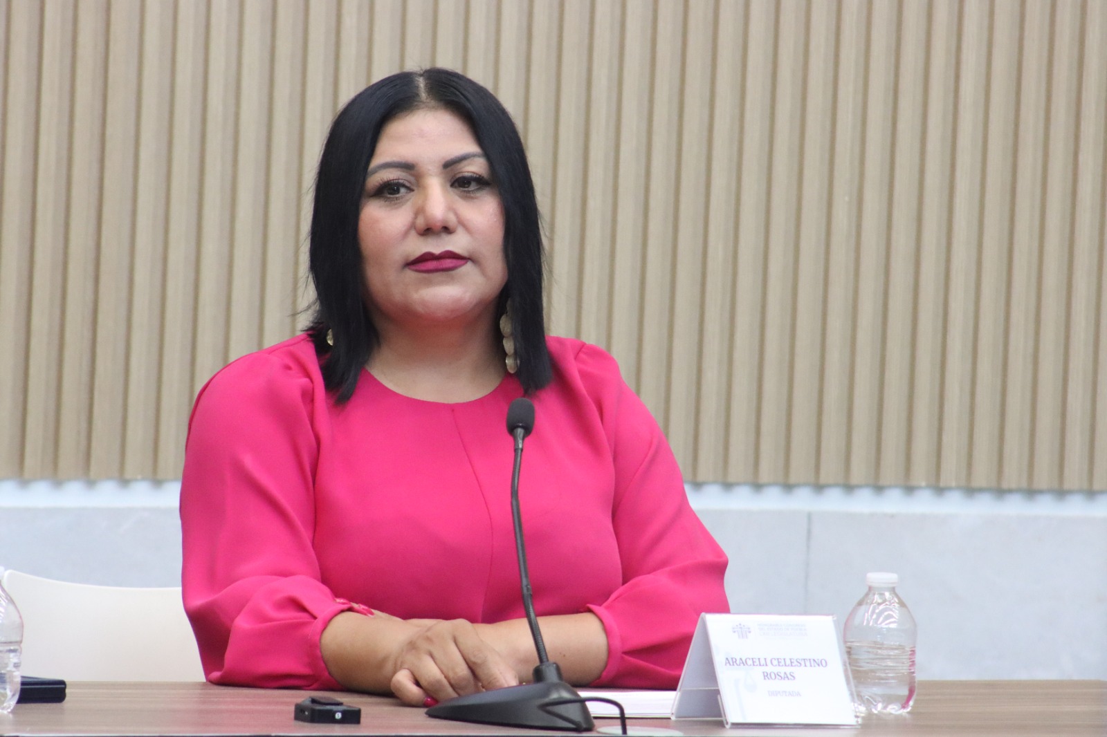 Impulsa Araceli Celestino propuestas legislativas para proteger a personas migrantes y jóvenes