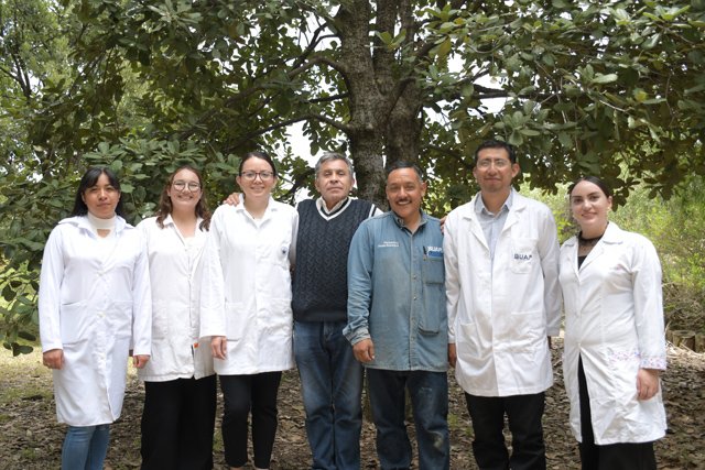 A Dralbinomoreno
