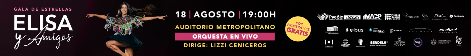 Elisa Y Amigos Banners Web 3125x376 (3)