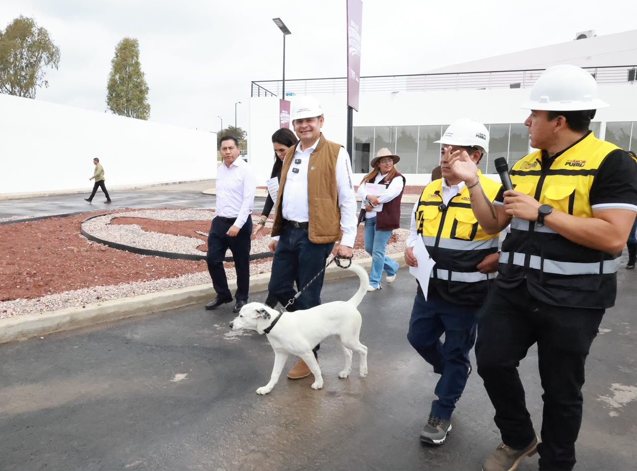 Gobierno Estatal alcanza 88 por ciento de avanza en célula de bienestar animal